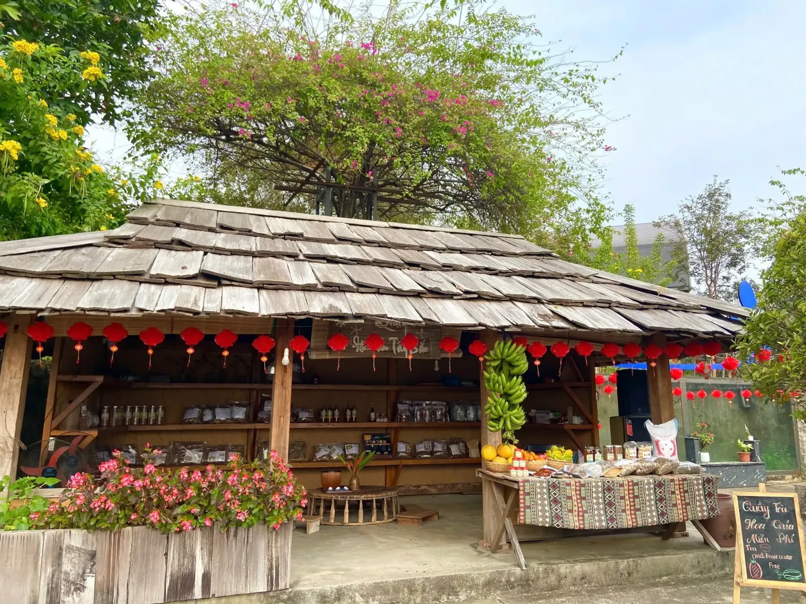 Chuồn chuồn Nghĩa Lộ Chuồn chuồn Nghĩa Lộ